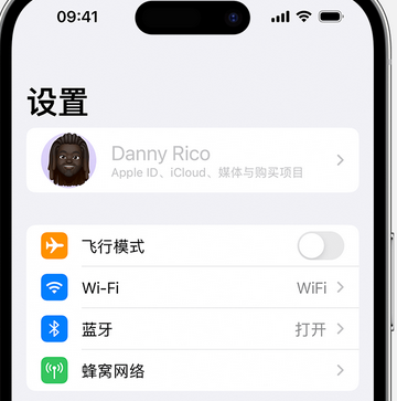 招远appleID维修服务iPhone设置中Apple ID显示为灰色无法使用 