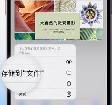 招远apple维修中心分享iPhone文件应用中存储和找到下载文件