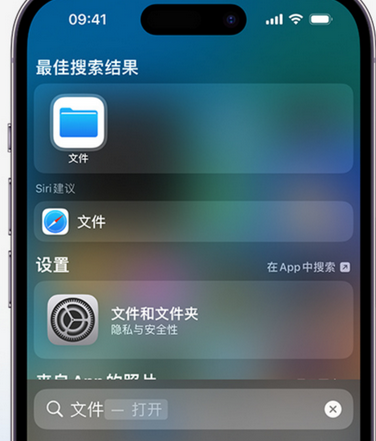 招远apple维修中心分享iPhone文件应用中存储和找到下载文件 