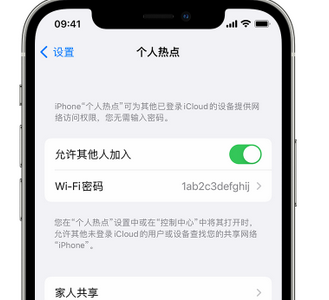 招远apple服务站点分享iPhone上个人热点丢失了怎么办 