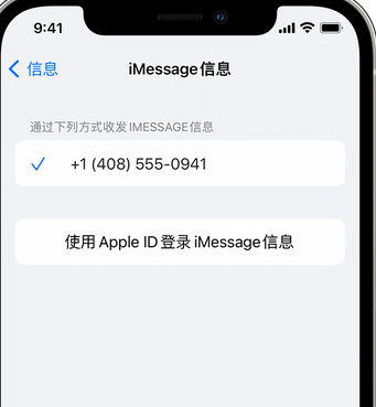 招远apple维修iPhone上无法正常发送iMessage信息 