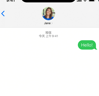 招远apple维修iPhone上无法正常发送iMessage信息