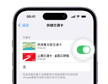 招远apple维修点分享iPhone上更换Apple Pay快捷交通卡手绘卡面 