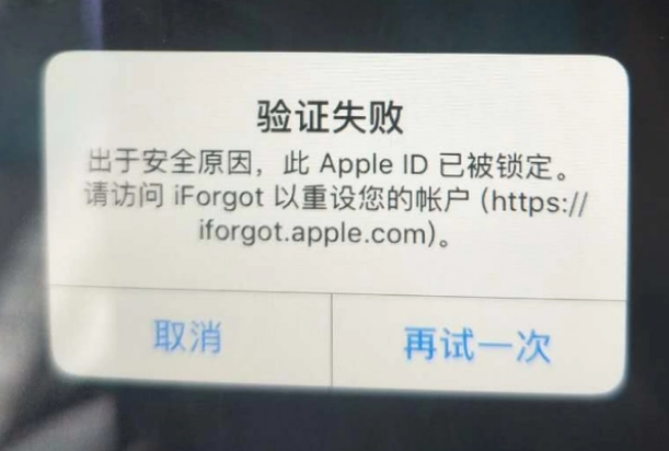 招远iPhone维修分享iPhone上正常登录或使用AppleID怎么办 