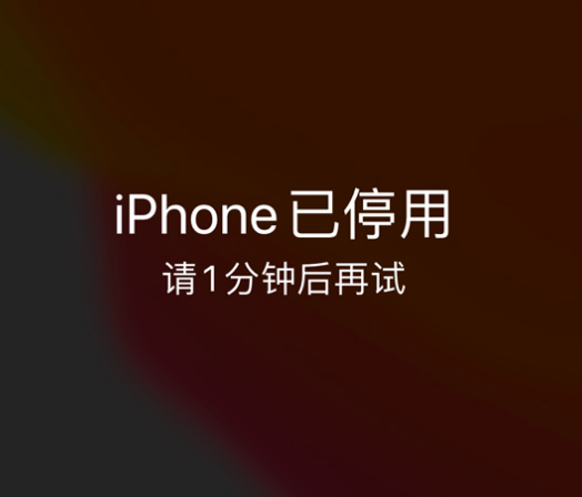 招远苹果手机维修分享:iPhone 显示“不可用”或“已停用”怎么办？还能保留数据吗？ 