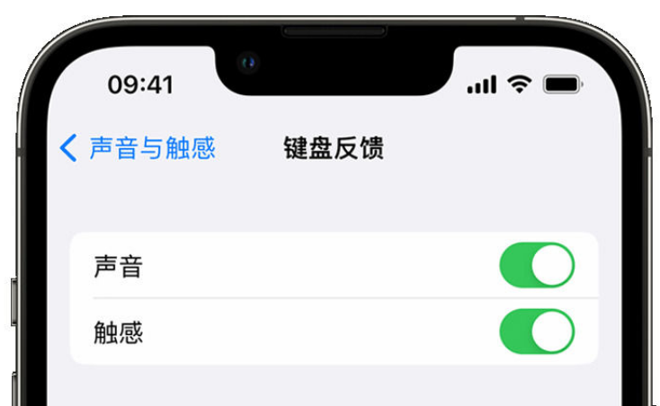 招远苹果手机维修分享iPhone 14触感键盘使用方法 