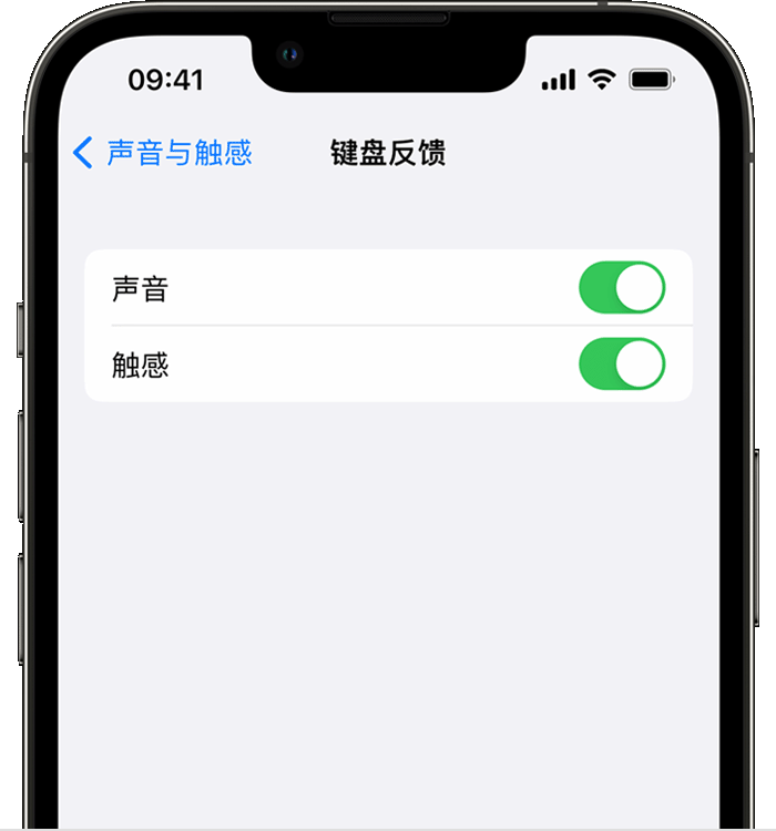 招远苹果14维修店分享如何在 iPhone 14 机型中使用触感键盘 