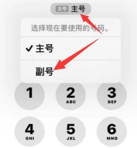 招远苹果14维修店分享iPhone 14 Pro Max使用副卡打电话的方法 