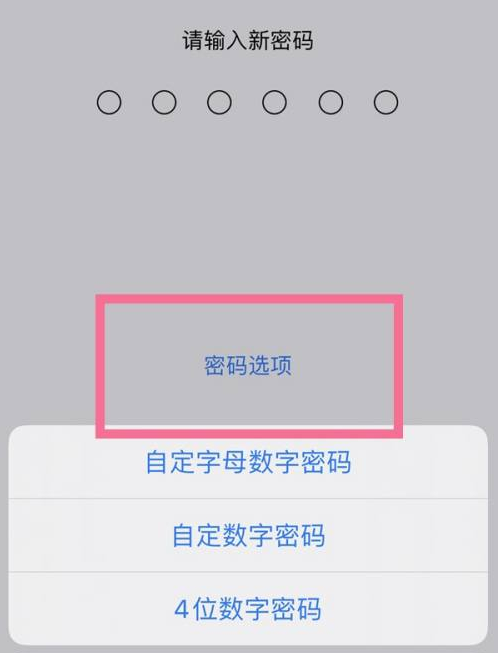 招远苹果14维修分享iPhone 14plus设置密码的方法 