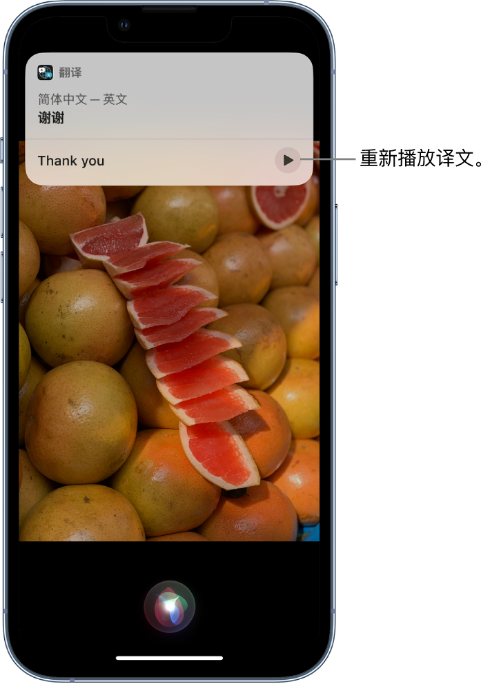 招远苹果14维修分享 iPhone 14 机型中使用 Siri：了解 Siri 能帮你做什么 