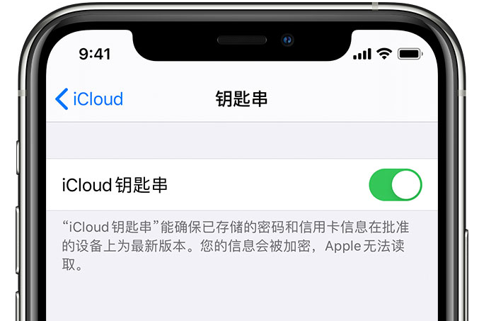 招远苹果手机维修分享在 iPhone 上开启 iCloud 钥匙串之后会储存哪些信息 