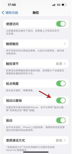 招远苹果手机维修分享iPhone手机如何设置摇一摇删除文字 